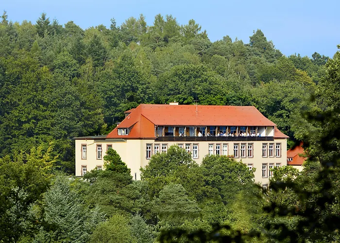 Hotel Michel Franziskushoehe 4*
