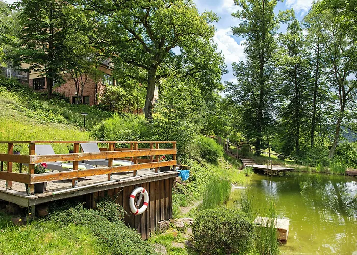 Hotel Michel Franziskushoehe Lohr