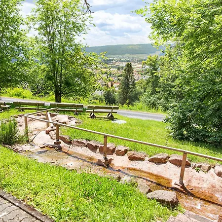 Franziskushoehe 4* Lohr