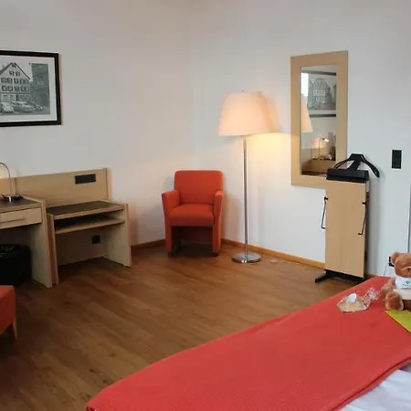 Roomingtons Franziskushoehe فندق Lohr