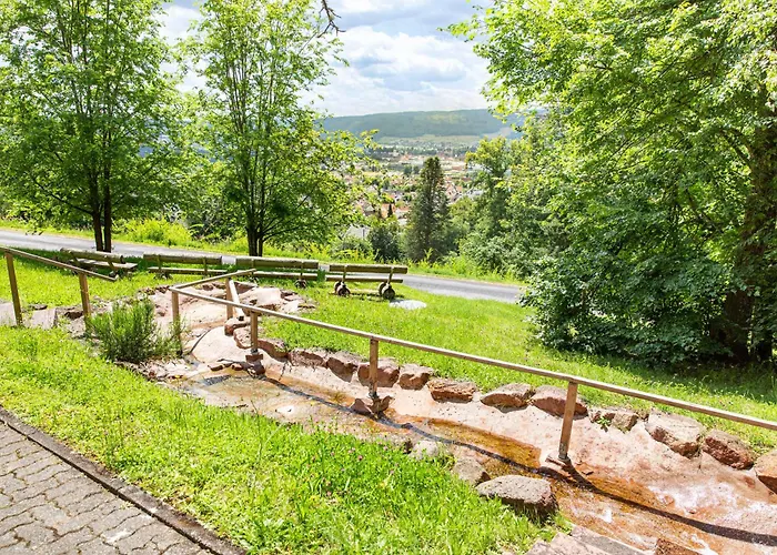 Michel Franziskushoehe 4* Lohr
